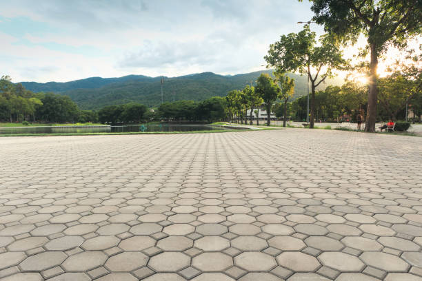 Best Driveway Paving Contractor  in Hoback, WY