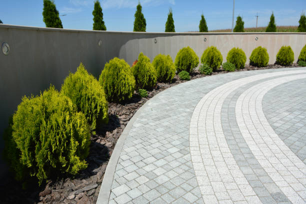 Decorative Driveway Pavers in Hoback, WY